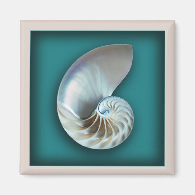 Imã Íman de concha Nautilus (Frente)