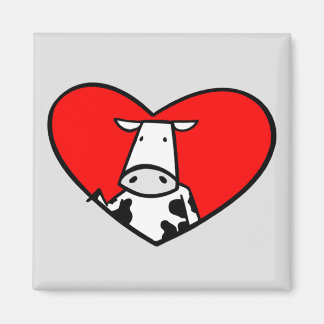 Imã Íman de coração de vaca