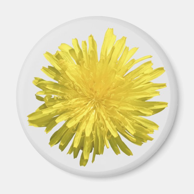 Imã Íman de Dente-de-Leão Amarelo (Frente)