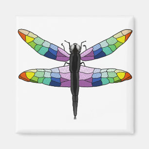 Imã Íman de Dragonfly