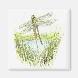 Imã Íman de Dragonfly