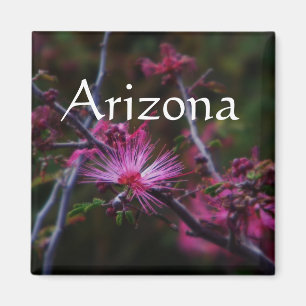 Imã íman de duster rosa, Arizona