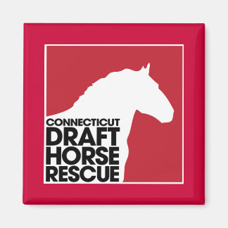 Imã Íman de Emergência de Cavalo de Connecticut Draft