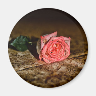 Imã Íman de fecho rosa