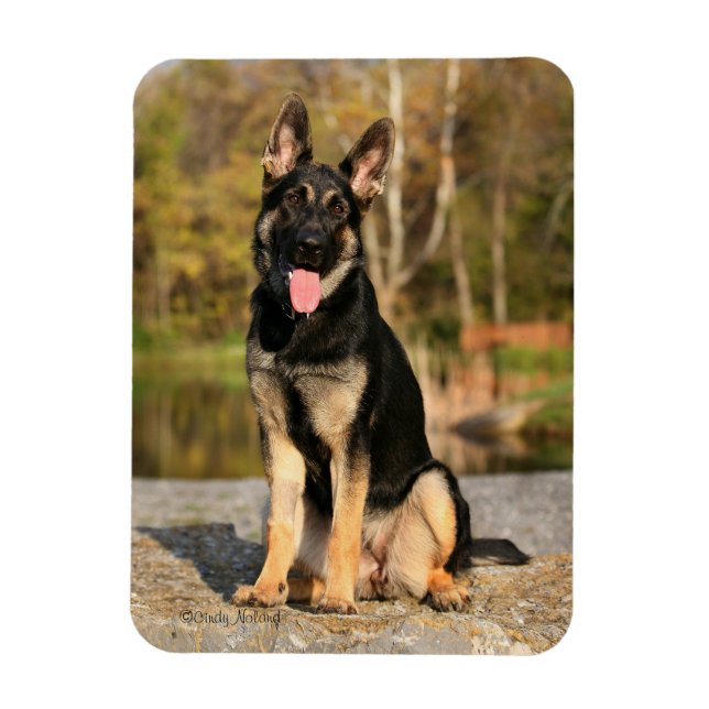 Ímã Íman de filheta german shepherd (Vertical)