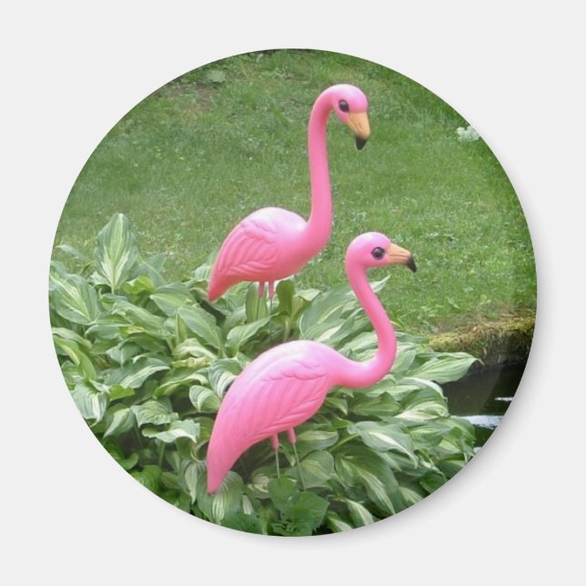 Imã íman de FLAMINGOS ROSAS (redondo) (Frente)