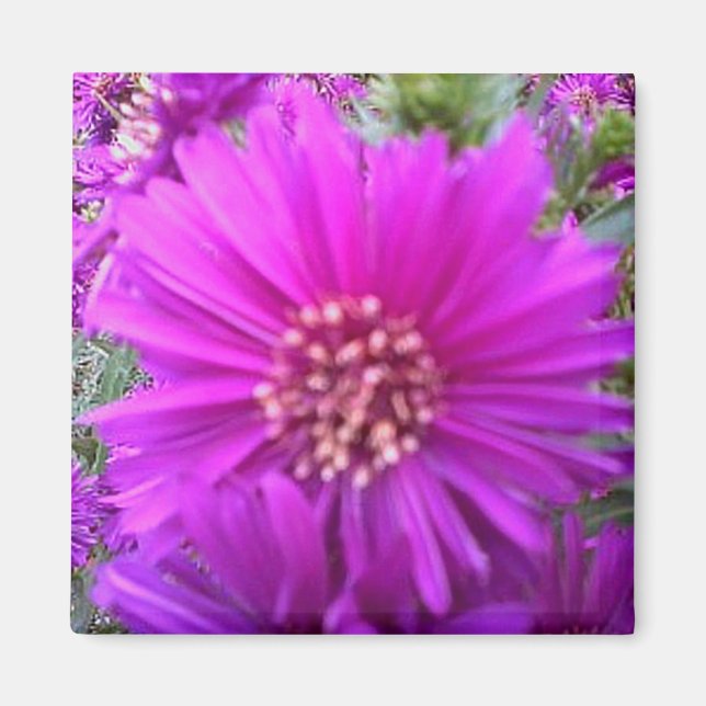 Imã Íman de flores (Frente)