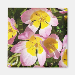 Imã Íman de flores rosa e amarela