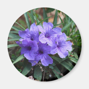 Imã Íman de flores violeta