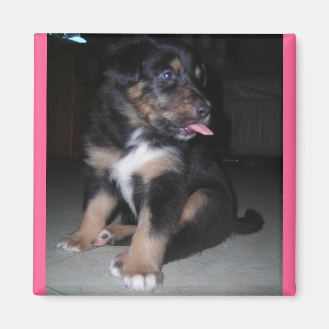 Imã Íman de framboesa (Frente)