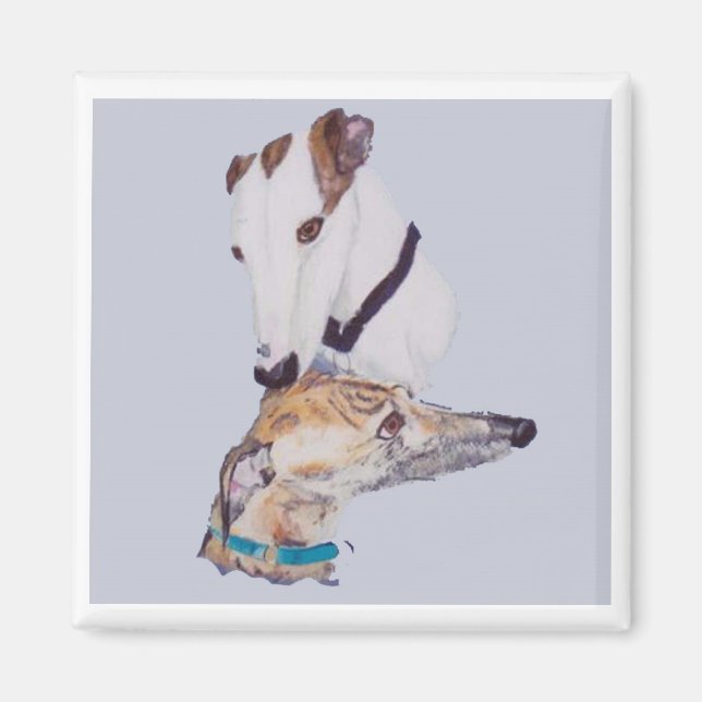 Imã Íman de galgos (Frente)