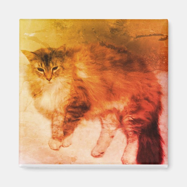 Imã Íman de gato (Frente)