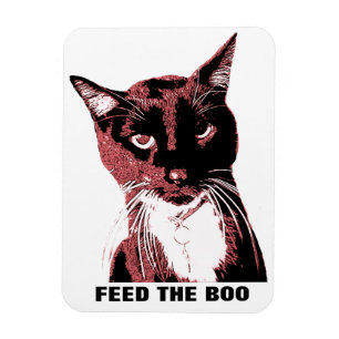 Ímã Íman de gato