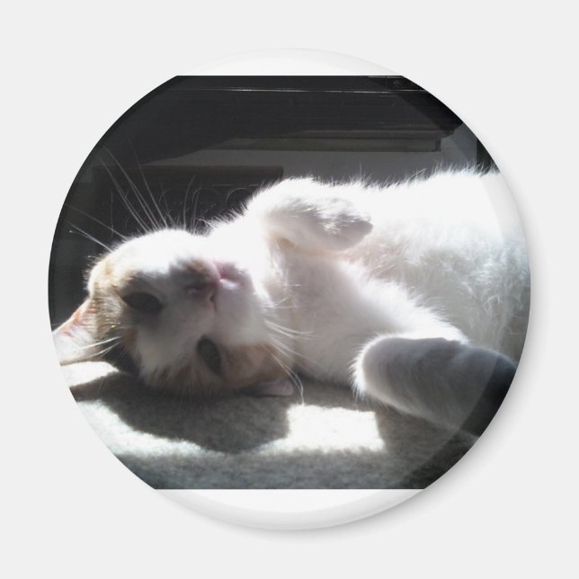 Imã íman de gato (Frente)