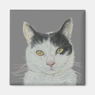 Imã Íman de gato divertido