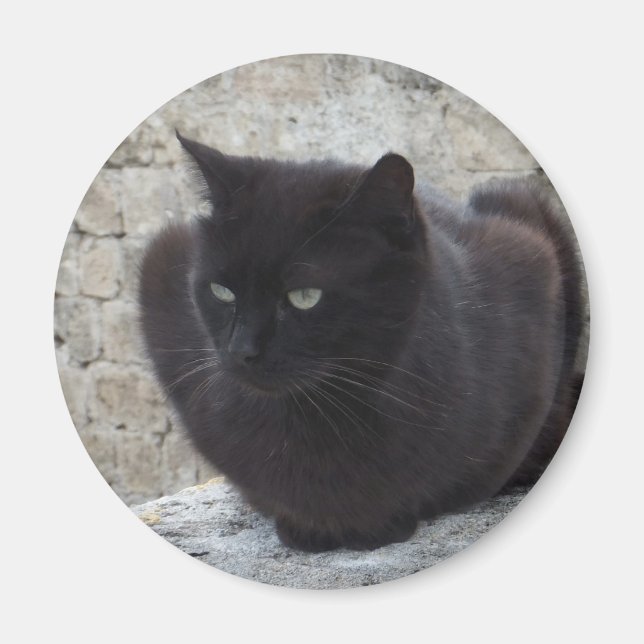 Imã Íman de Gato Negro (Frente)