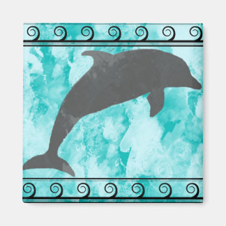 Imã Íman de golfinho