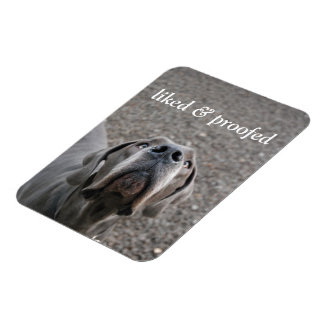 Ímã íman de Great Dane