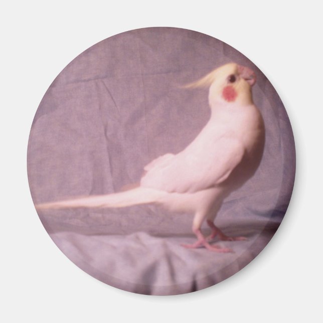 Imã Íman de HOPPER (Frente)