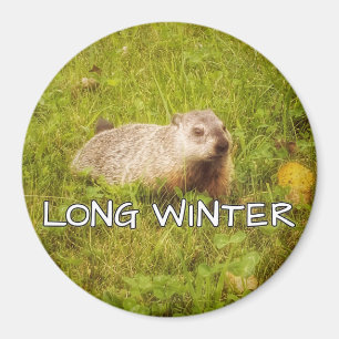 Imã Íman de inverno longo