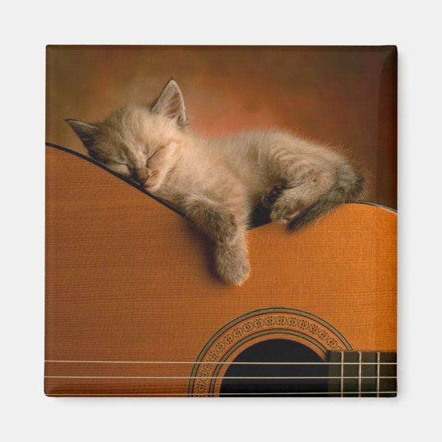Imã íman de kitten-on-guitar (Frente)