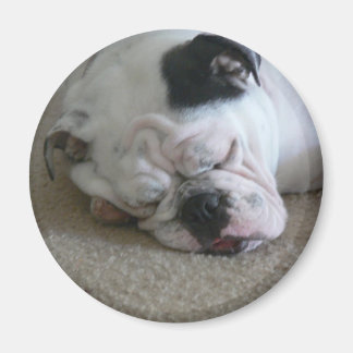 Imã Íman de liberdade