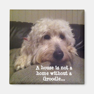 Imã Íman de moagem