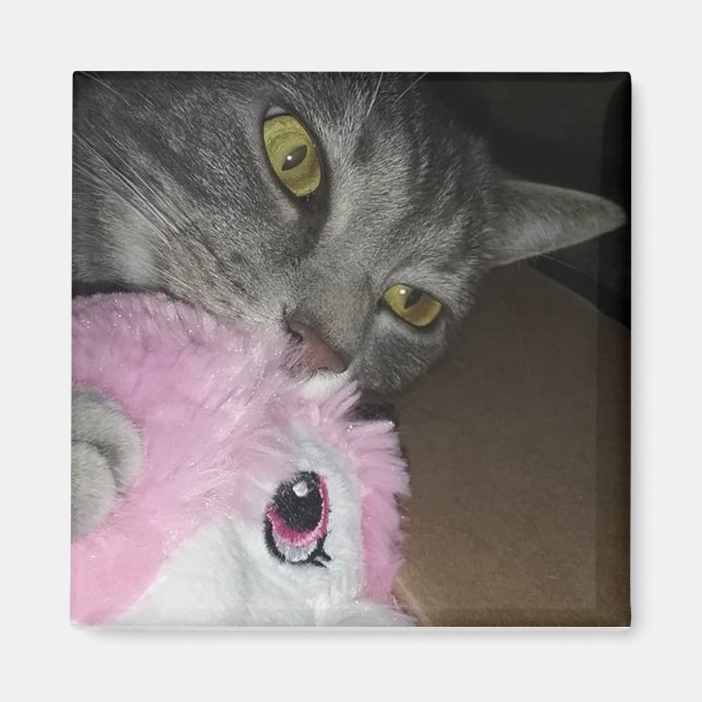 Imã Íman de movimento das pétalas (Frente)