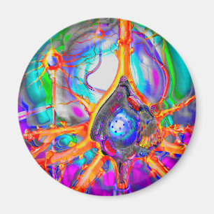 Imã Íman de neurônio