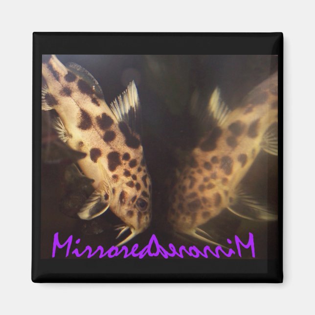 Imã Íman de peixe-gato (espelhado) (Frente)