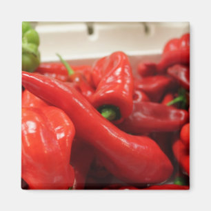 Imã íman de pimenta malagueta vermelha, cozinha,