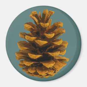 Imã Íman de Pinecone palooza