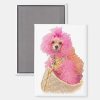 Imã íman de poodle toy rosa, poodle rosa, geladeira