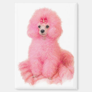 Imã íman de poodle toy rosa, poodle rosa, geladeira