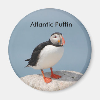 Imã Íman de Puffin