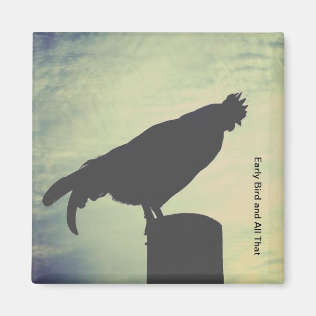 Imã Íman de refrigeração de galeota (Frente)