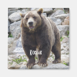 Imã íman de urso Kodiak