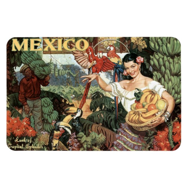 Ímã Íman de viagens vintage do México (Horizontal)