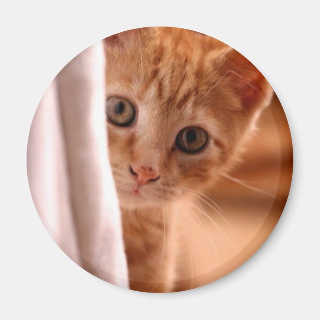 Imã Íman do frigorífico Ocultar e Procurar Gatinho (Frente)