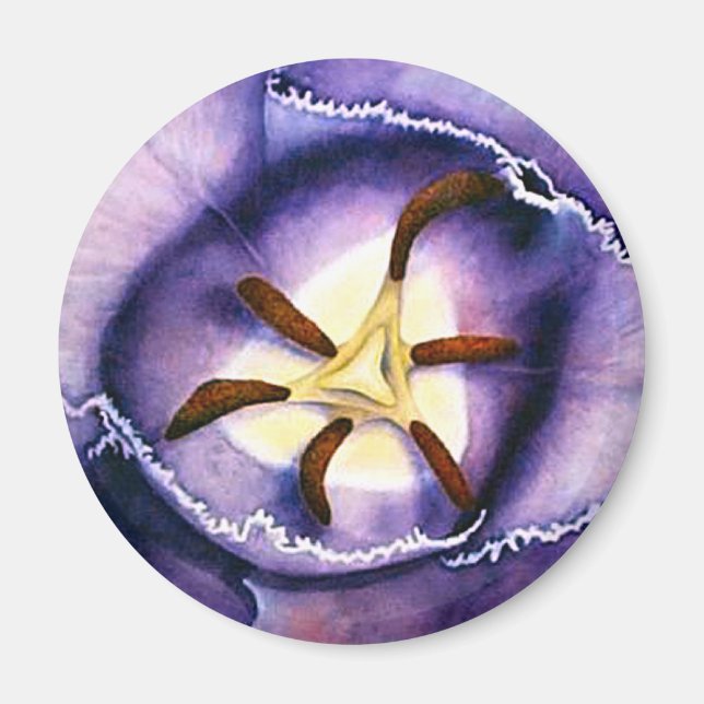 Imã Íman do interior da anca (Frente)