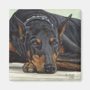 Imã Íman Dog Doberman