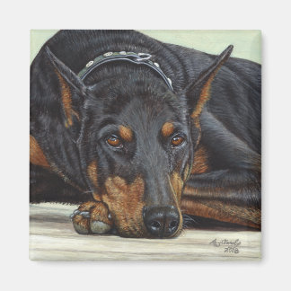 Imã Íman Dog Doberman