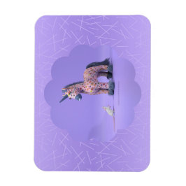 Ímã Íman estranho