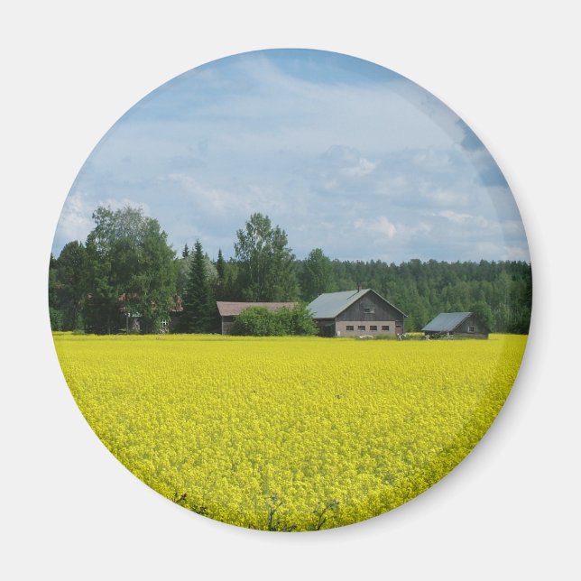Imã Íman finlandês Countryside (Frente)