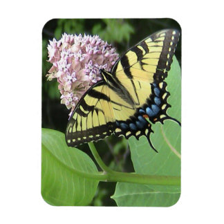 Ímã Íman flexível da borboleta de Swallowtail amarelo