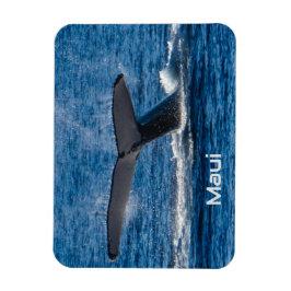 Ímã Íman flexível de cauda de baleia-jubarte