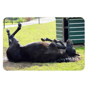 Ímã Íman flexível laminado a cavalo