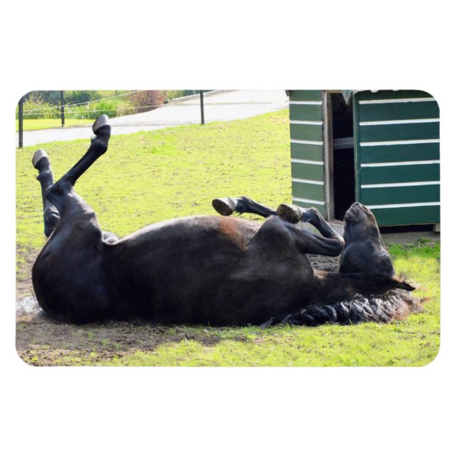 Ímã Íman flexível laminado a cavalo (Horizontal)