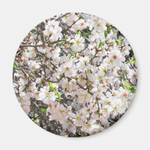Imã Íman florescente