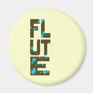 Imã Íman Flutuante Assimétrico